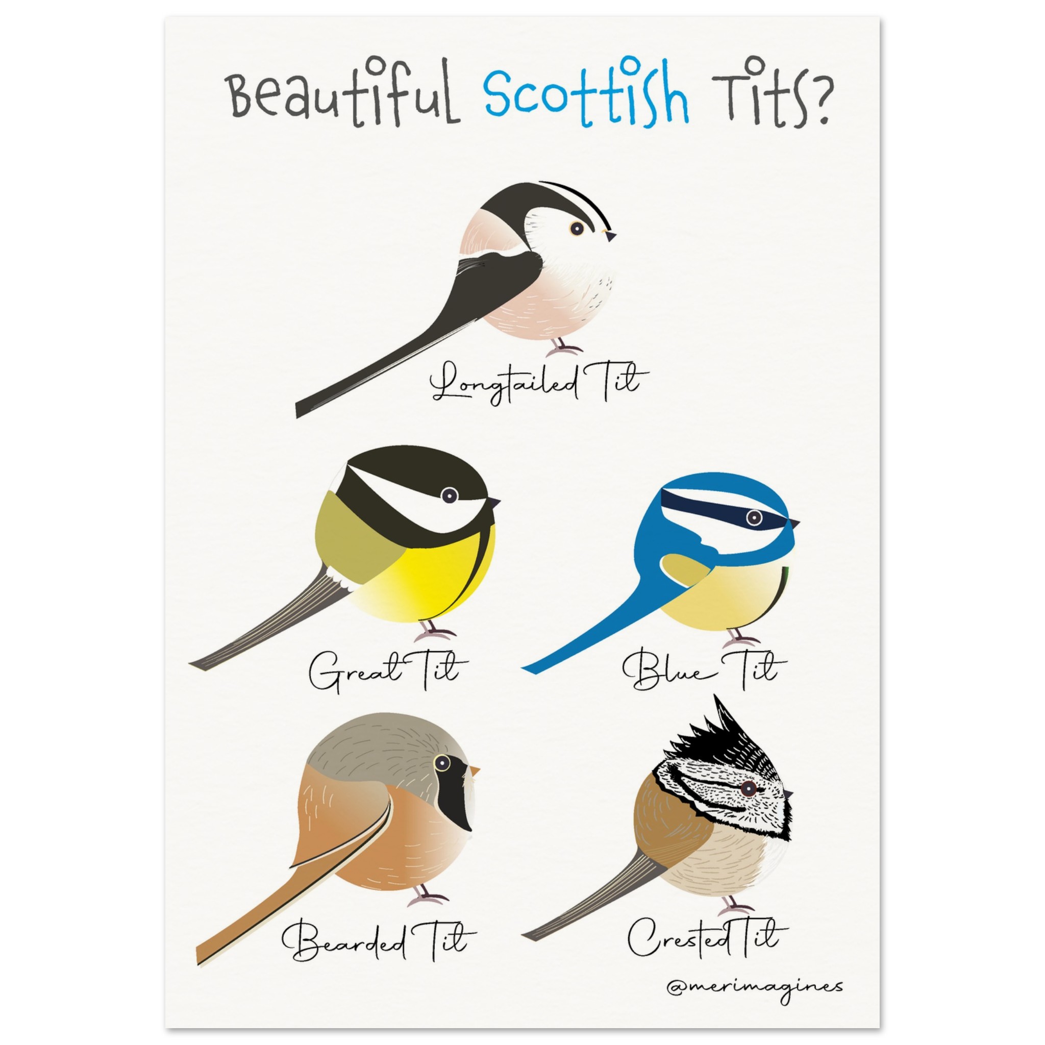 Beautiful Scottish Tits Poster - Museum-Quality Matte Paper Poster